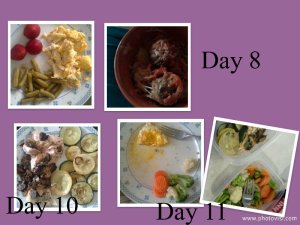 day8-10-11